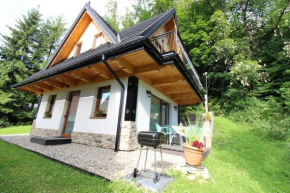 Domki Pod Brzegiem, Biały Dunajec